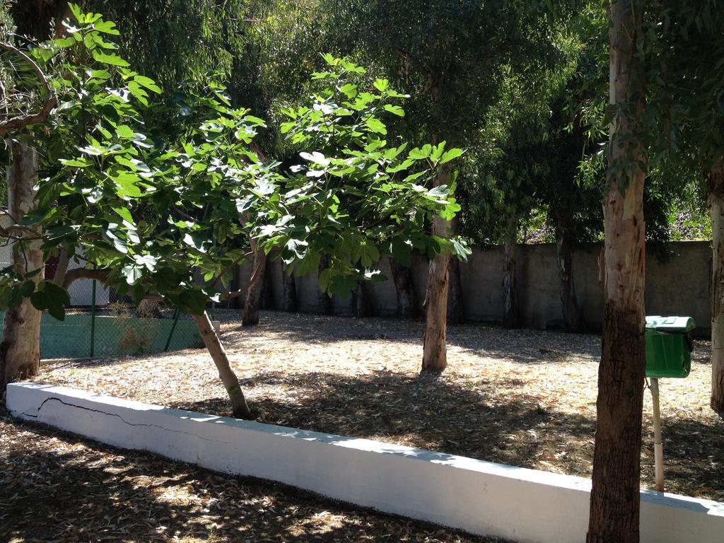 Camping B&B Gioiosa ג'ויוזה מריאה מראה חיצוני תמונה