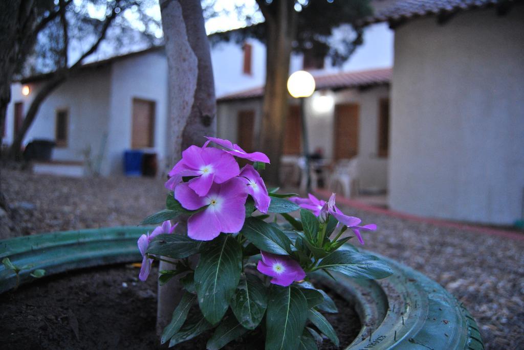 Camping B&B Gioiosa ג'ויוזה מריאה מראה חיצוני תמונה