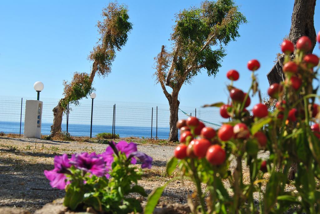 Camping B&B Gioiosa ג'ויוזה מריאה מראה חיצוני תמונה