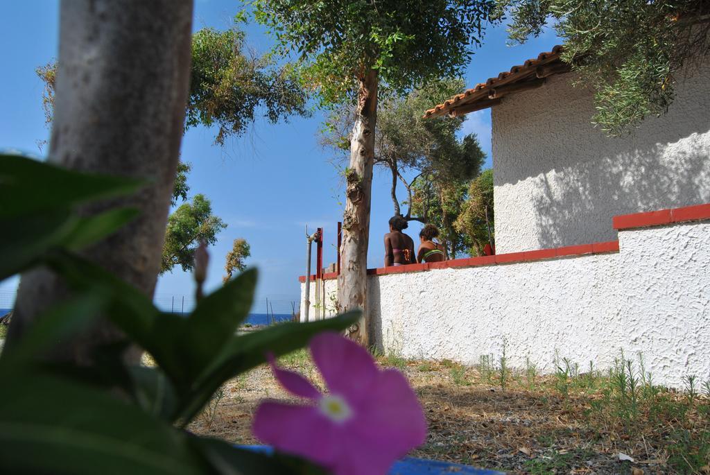 Camping B&B Gioiosa ג'ויוזה מריאה מראה חיצוני תמונה