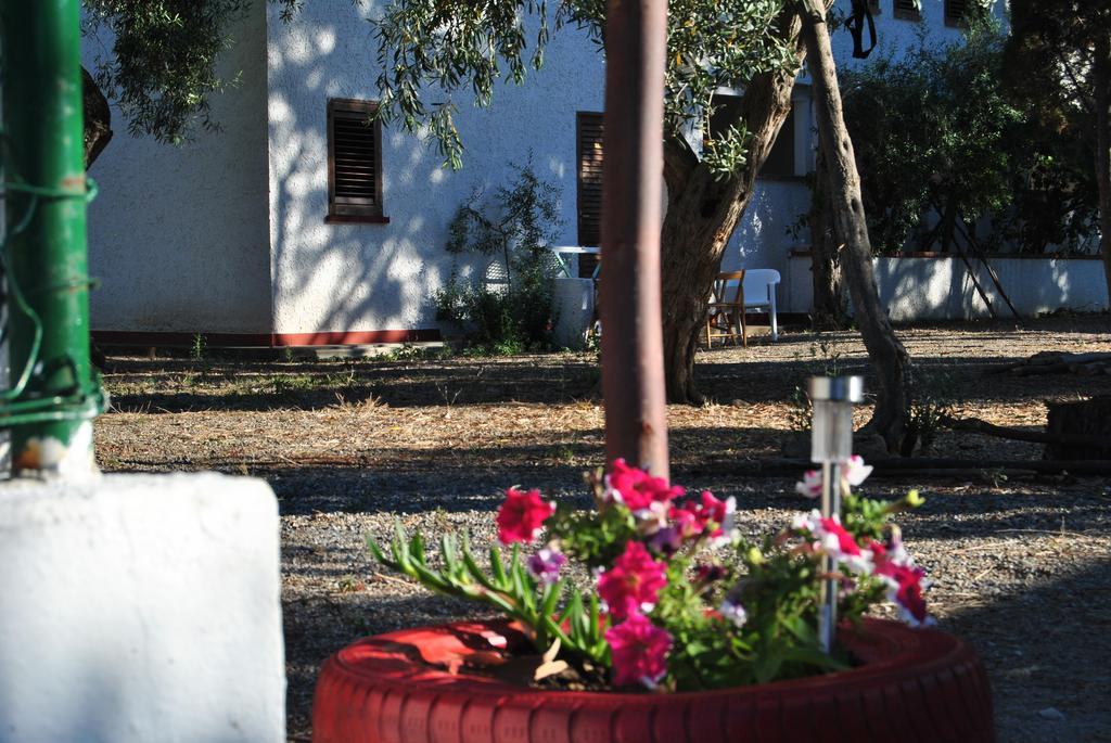 Camping B&B Gioiosa ג'ויוזה מריאה מראה חיצוני תמונה